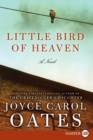 Image for Little Bird of Heaven : A Novel