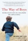 Image for The way of boys: protecting the social and emotional development of young boys