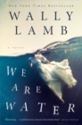 Image for We Are Water : A Novel
