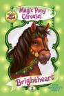 Image for Magic Pony Carousel #2: Brightheart the Knight&#39;s Pony