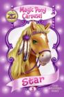 Image for Magic Pony Carousel #3: Star the Western Pony