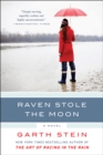 Image for Raven Stole the Moon: A Novel