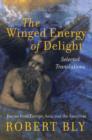 Image for Winged Energy of Delight