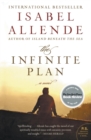 Image for The Infinite Plan : A Novel