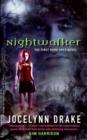Image for Nightwalker: The First Dark Days Novel