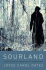 Image for Sourland  : stories