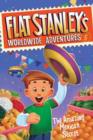 Image for Flat Stanley&#39;s Worldwide Adventures #5: The Amazing Mexican Secret