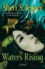 Image for Waters Rising: A Novel
