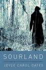 Image for Sourland: stories