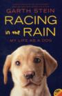Image for Racing in the rain  : my life as a dog