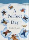 Image for A Perfect Day