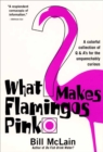 Image for What Makes Flamingos Pink?: A Colorful Collection of Q &amp; A&#39;s for the Unquenchably Curious