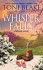 Image for Whisper falls: a Destiny novel