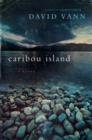 Image for Caribou Island: a novel