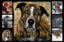 Image for My lucky dog
