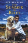 Image for The summer of Riley