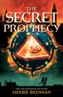 Image for The Secret Prophecy