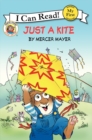 Image for Little Critter: Just a Kite