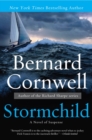 Image for Stormchild : A Novel of Suspense