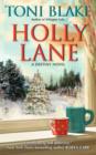 Image for Holly Lane: a destiny novel