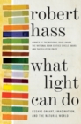 Image for What light can do: essays on art, imagination, and the natural world
