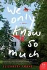 Image for We only know so much: a novel