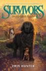 Image for Darkness falls : book 3