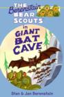 Image for Berenstain Bears Chapter Book: Giant Bat Cave