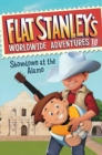 Image for Flat Stanley&#39;s Worldwide Adventures #10: Showdown at the Alamo