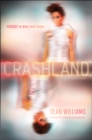 Image for Crashland: A Twinmaker Novel