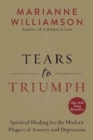 Image for Tears to triumph  : the spiritual journey from suffering to enlightenment