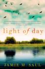 Image for Light Of Day : A Novel