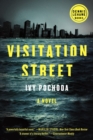 Image for Visitation Street : A Novel