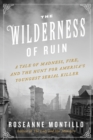 Image for The Wilderness of Ruin