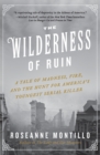 Image for The Wilderness of Ruin