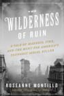 Image for Wilderness of Ruin: A Tale of Madness, Fire, and the Hunt for America&#39;s Youngest Serial Killer