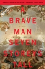 Image for A brave man seven storeys tall: a novel