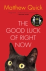 Image for The Good Luck of Right Now : A Novel