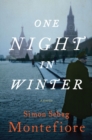 Image for One Night in Winter : A Novel