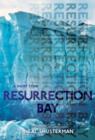 Image for Resurrection bay: a short story