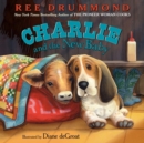 Image for Charlie and the New Baby