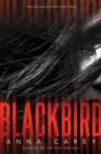 Image for Blackbird : 1