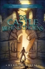 Image for The castle behind thorns