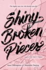 Image for Shiny Broken Pieces: A Tiny Pretty Things Novel