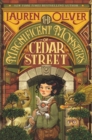 Image for The Magnificent Monsters of Cedar Street