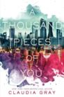 Image for A Thousand Pieces of You