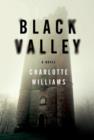 Image for Black Valley: A Novel