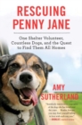 Image for Rescuing Penny Jane