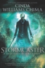 Image for Stormcaster: a shattered realms novel