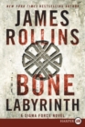 Image for The Bone Labyrinth
